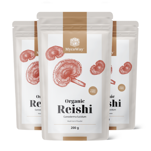 3x BIO Reishi in polvere, totale 600 g