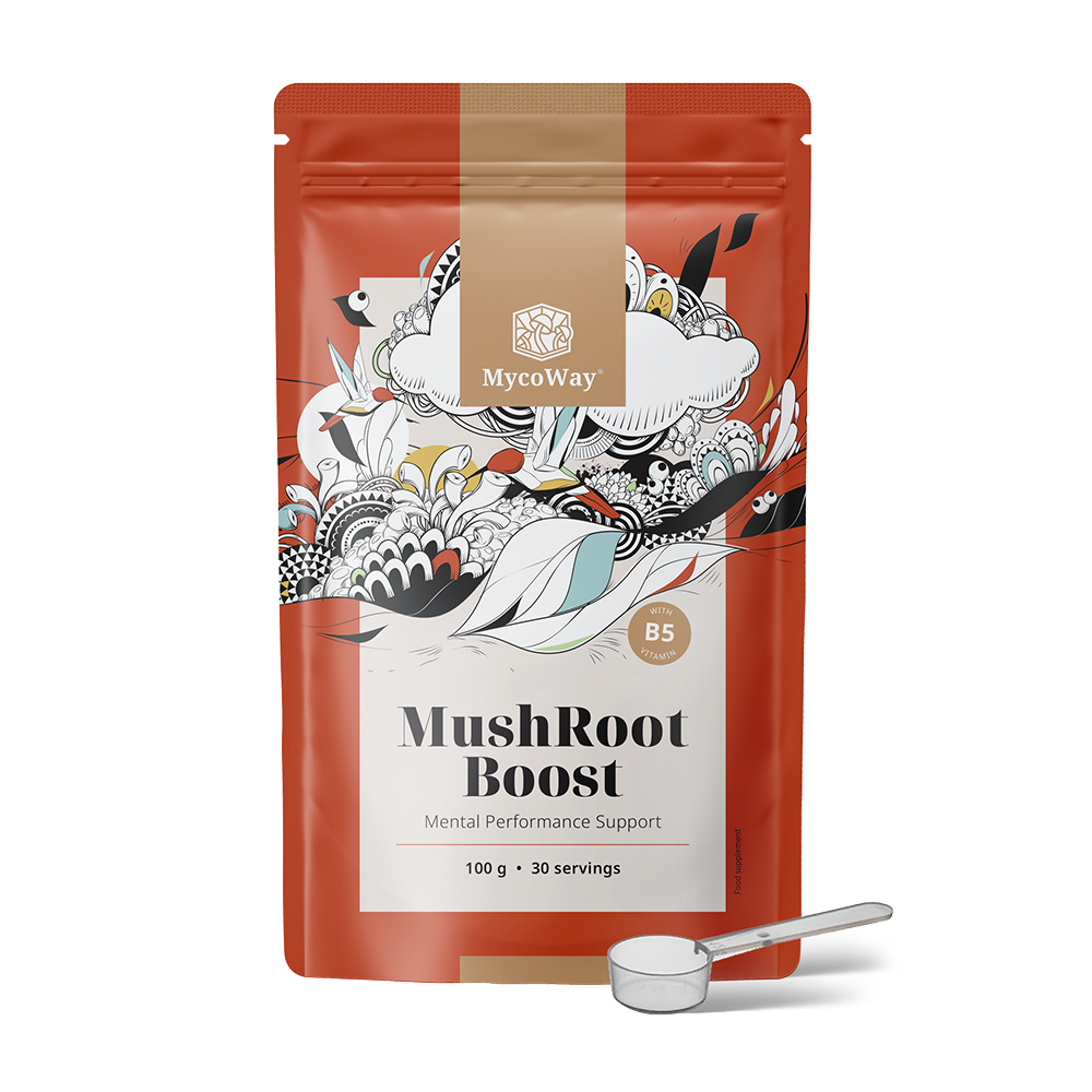 MushRoot Boost – bevanda per capacità cognitive