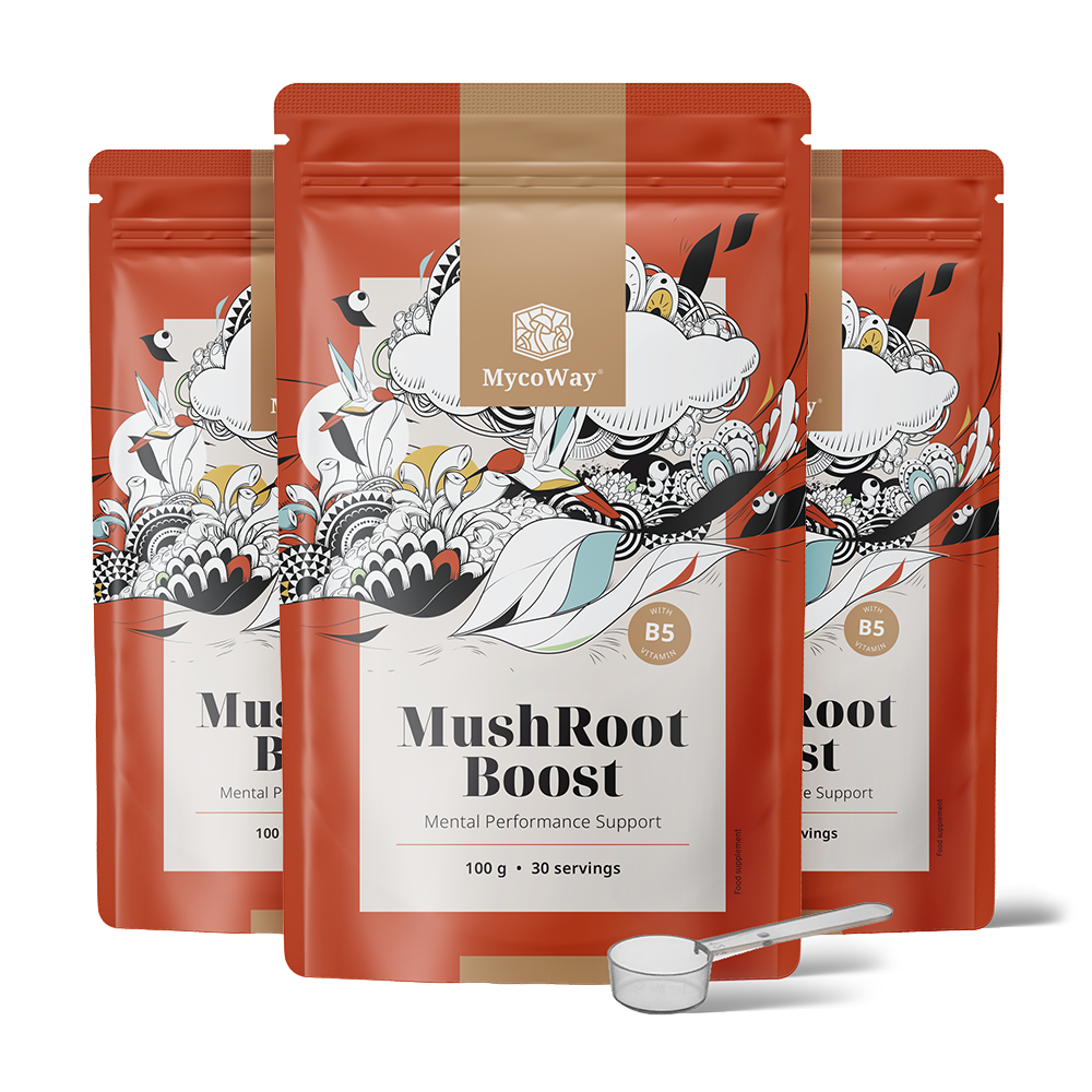 MushRoot Boost - bevanda per la performance mentale