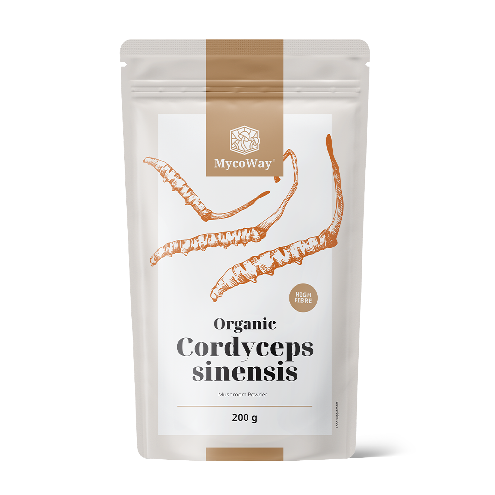 BIO Cordyceps sinensis in polvere