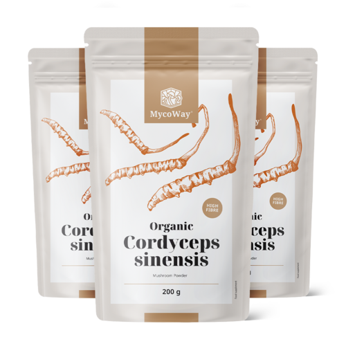 3x BIO Cordyceps sinensis in polvere, totale 600 g