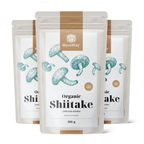 3x BIO Shiitake in polvere, totale 600 g