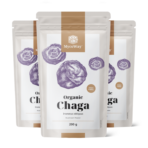 3x BIO Chaga in polvere, totale 600 g
