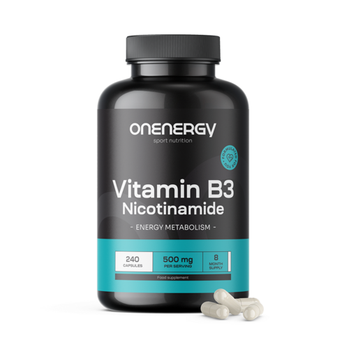 Vitamina B3 500 mg - nicotinamide, 240 capsule