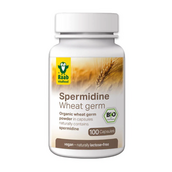 Image preview main